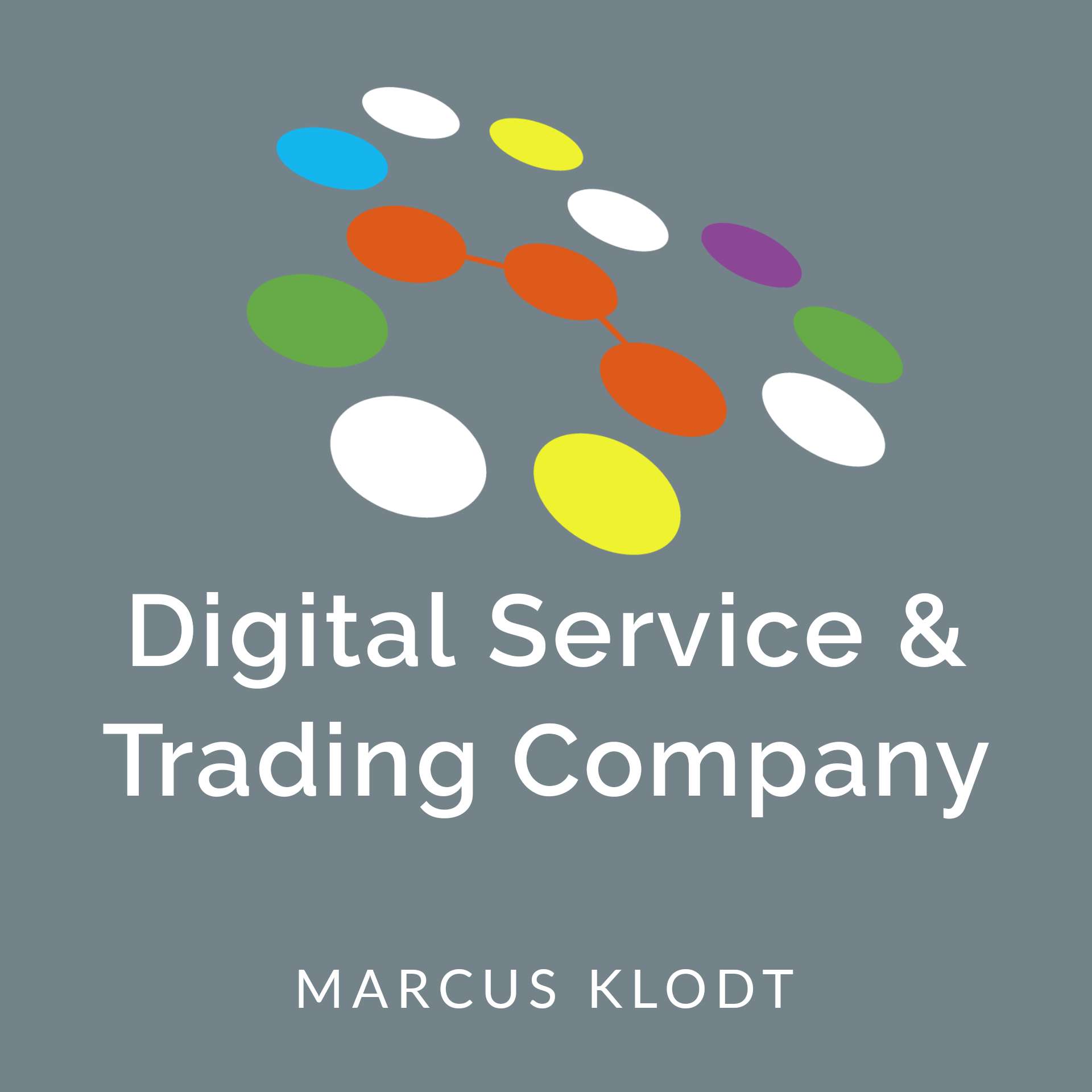 Digital Service & Trading Company